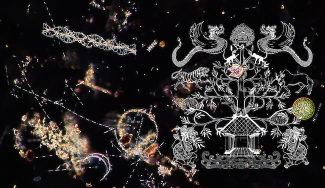 Myth, art and science